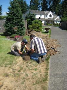 two Elk Grove Sprinkler Repair team members install a new irrigation line