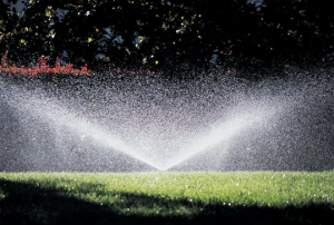 Pop up head installed by an irrigation contractor in Elk Grove